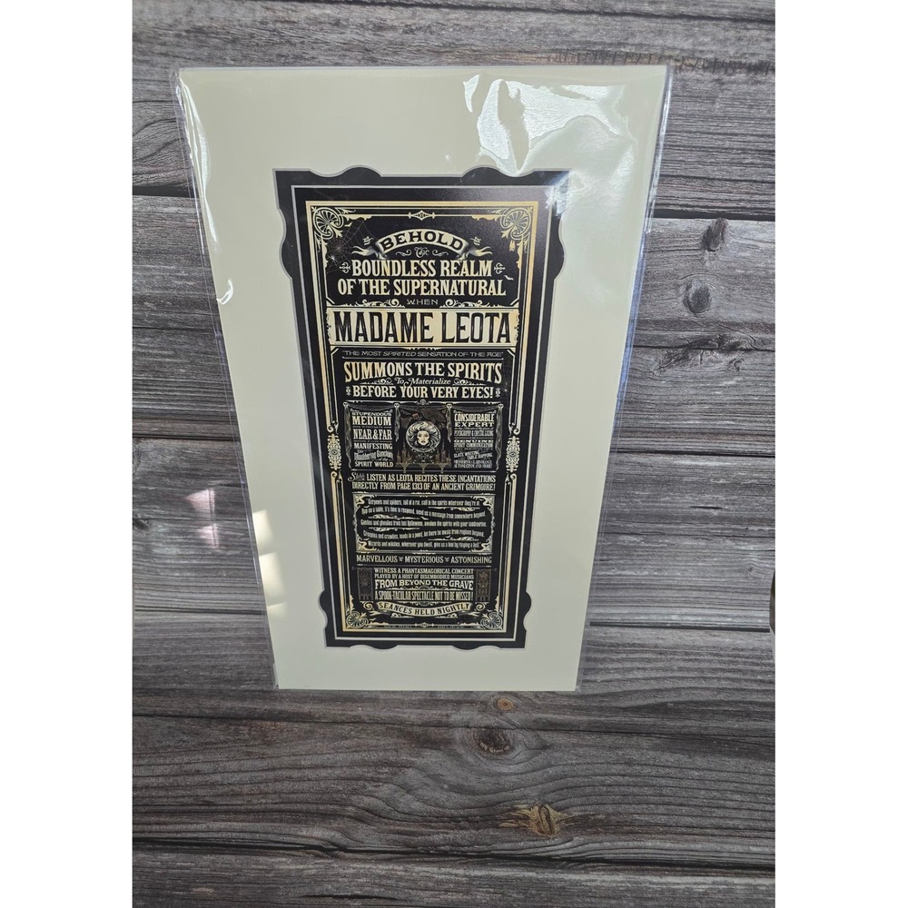 Disney Parks Haunted Mansion Madame Leota Art Print Jeremy Fulton 18x10 Matted